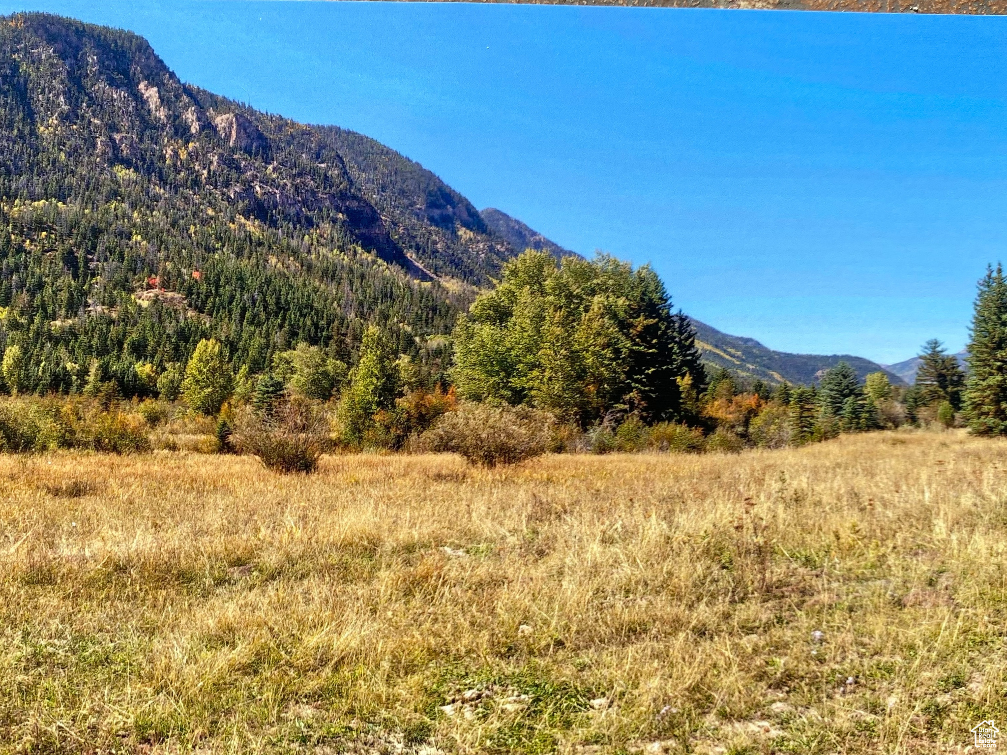 Mountain Home, Utah 84051, ,Land,For sale,1982537