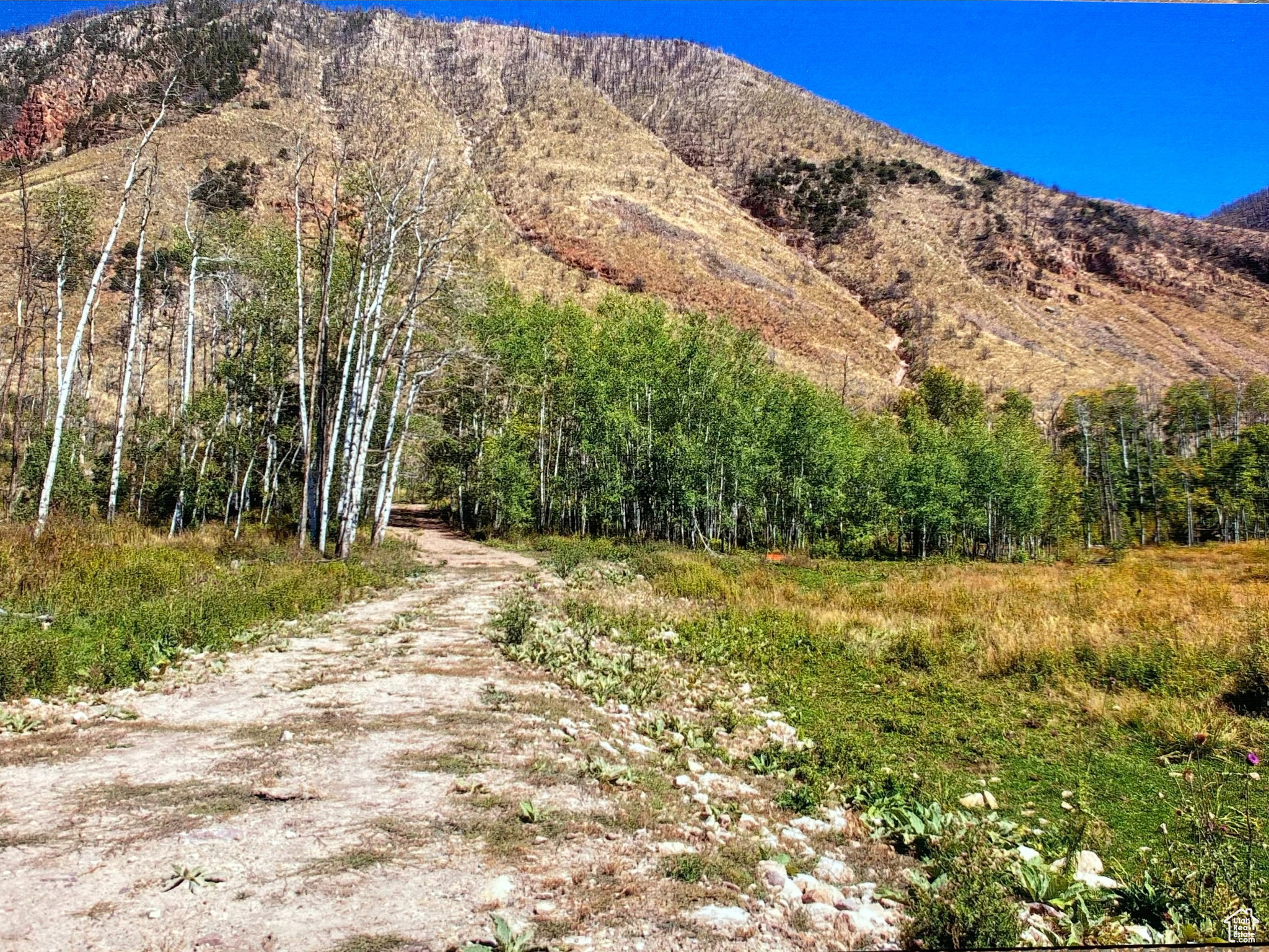 Mountain Home, Utah 84051, ,Land,For sale,1982537