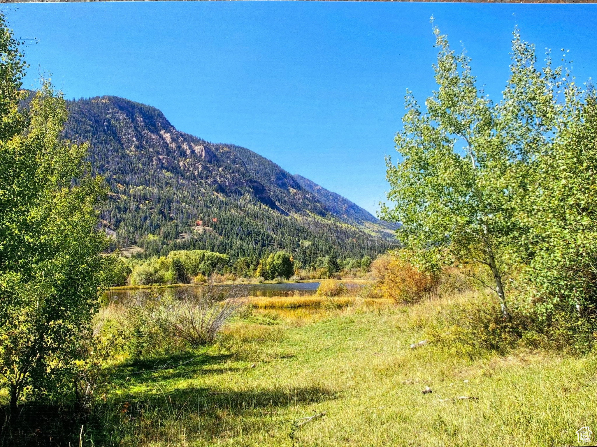 Mountain Home, Utah 84051, ,Land,For sale,1982537