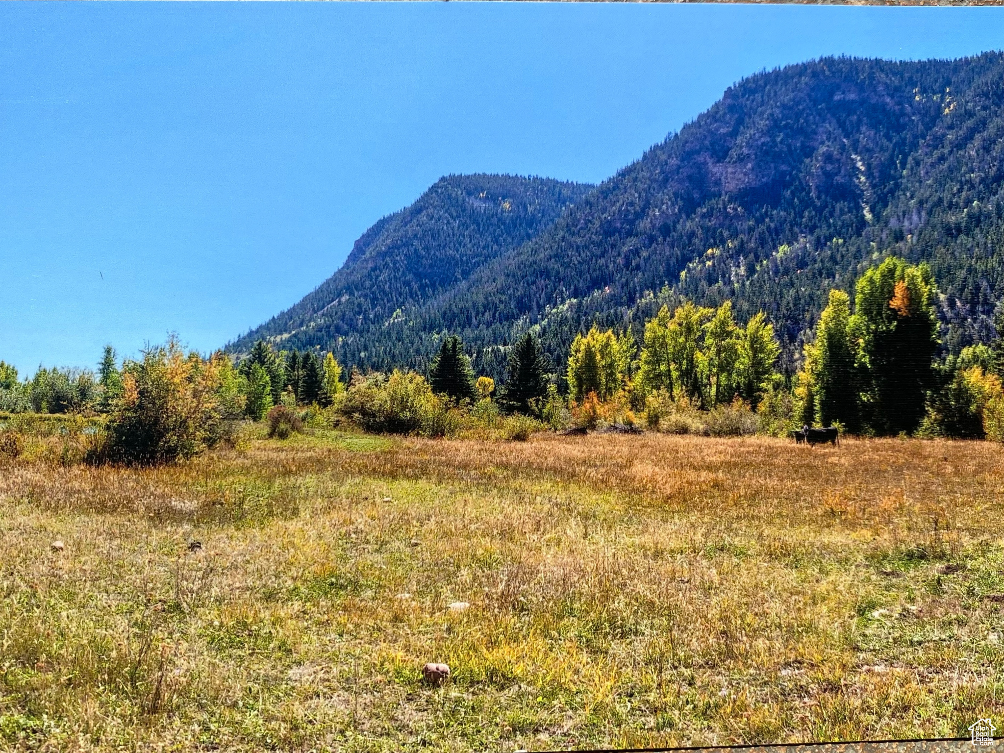 Mountain Home, Utah 84051, ,Land,For sale,1982537