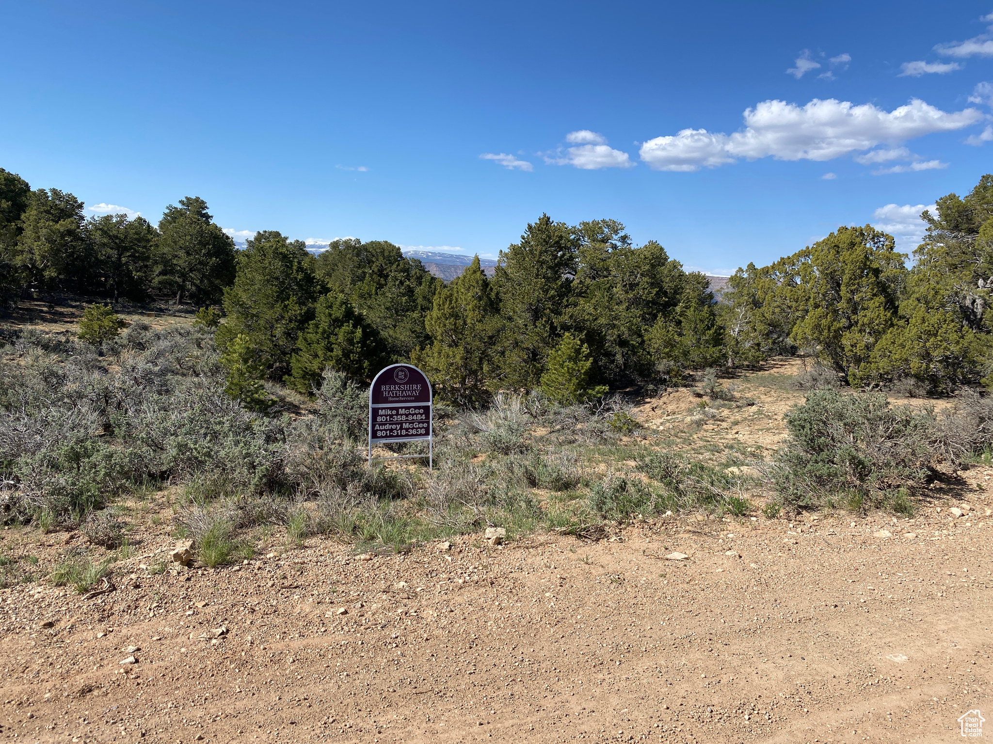 34610 DIAMOND FORK #310, Duchesne, Utah 84021, ,Land,For sale,DIAMOND FORK,1982578