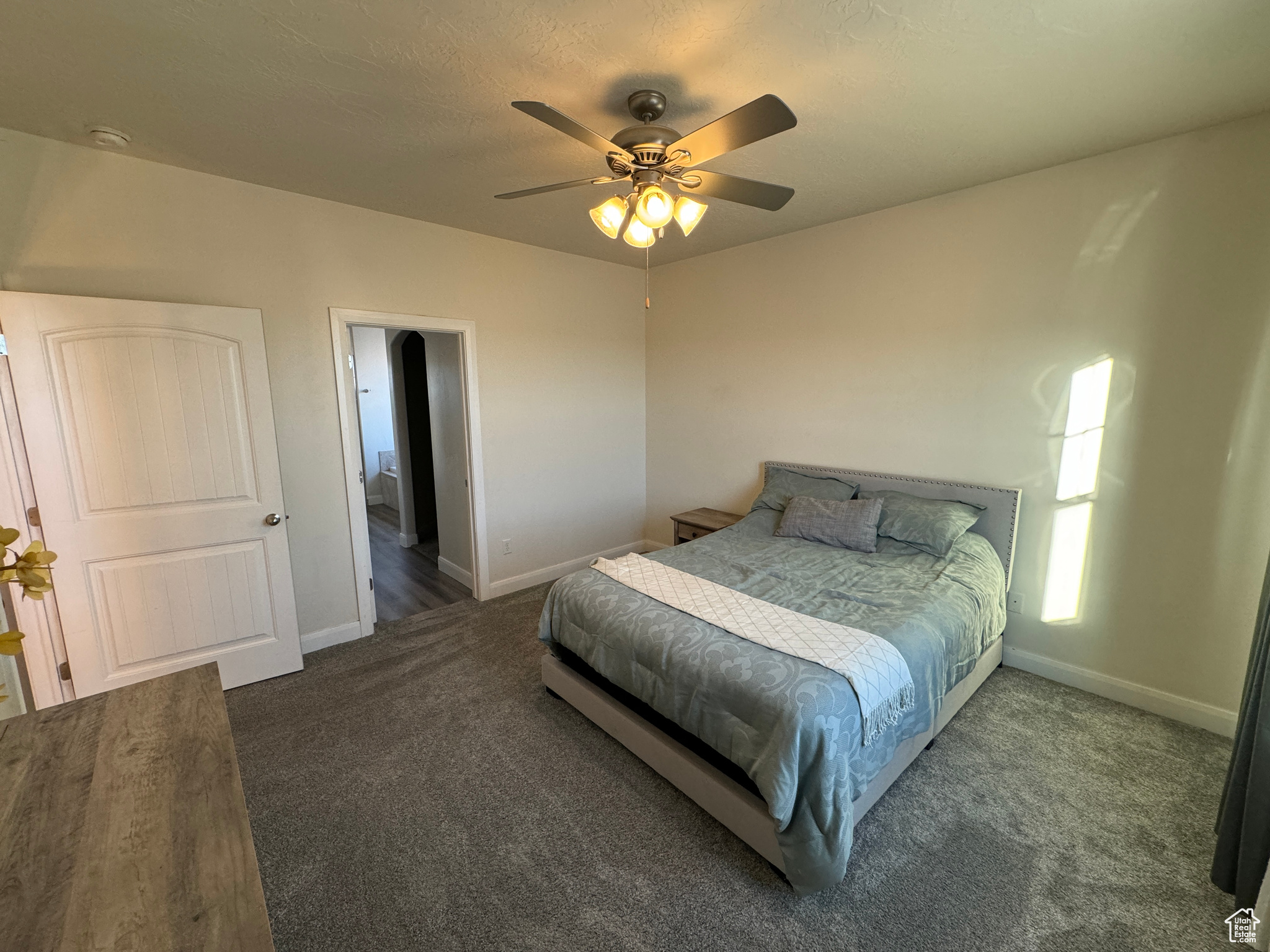 Master Bedroom featuring ceiling fan and dark carpet