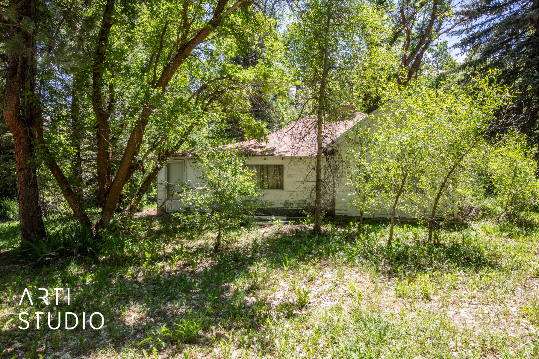 View of yard Cottage