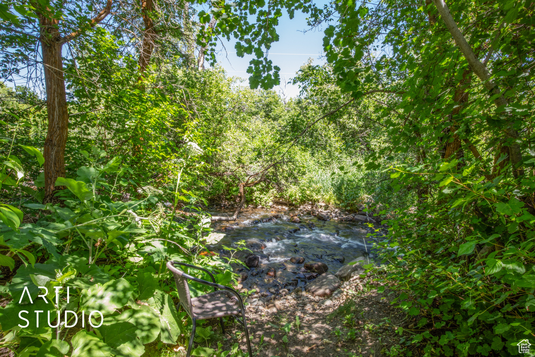 View of local wilderness featuring a water view