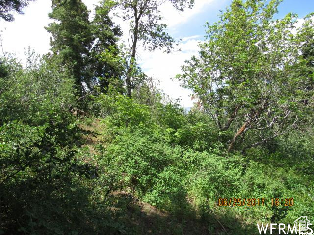 10 PINE RIDGE ##10, Mt Pleasant, Utah 84647, ,Land,For sale,PINE RIDGE,1982761