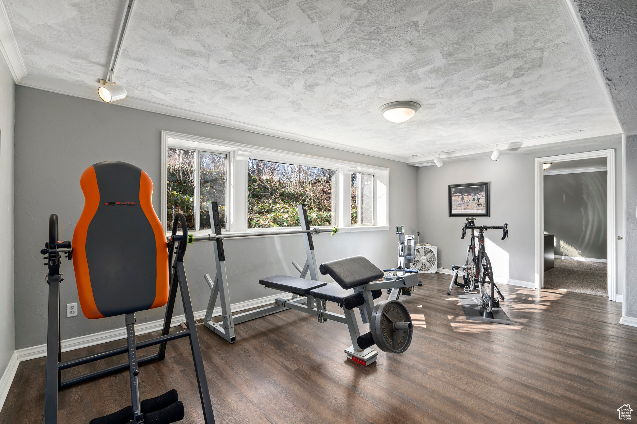 Exercise room with dark hardwood / wood-style floors, rail lighting, crown molding, and a textured ceiling. Ample space for workout equipment, billiards, ping pong or foosball