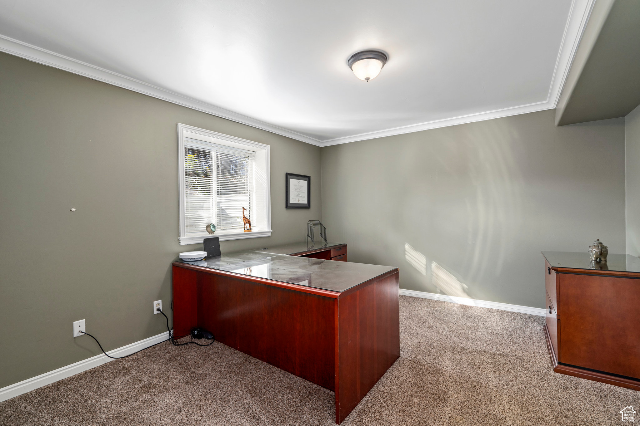 Carpeted office space featuring ornamental molding. This room is also technically a second bedroom with it's own closet just off the workout area.