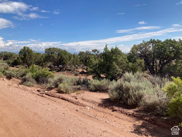 Duchesne, Utah 84021, ,Land,For sale,1982824