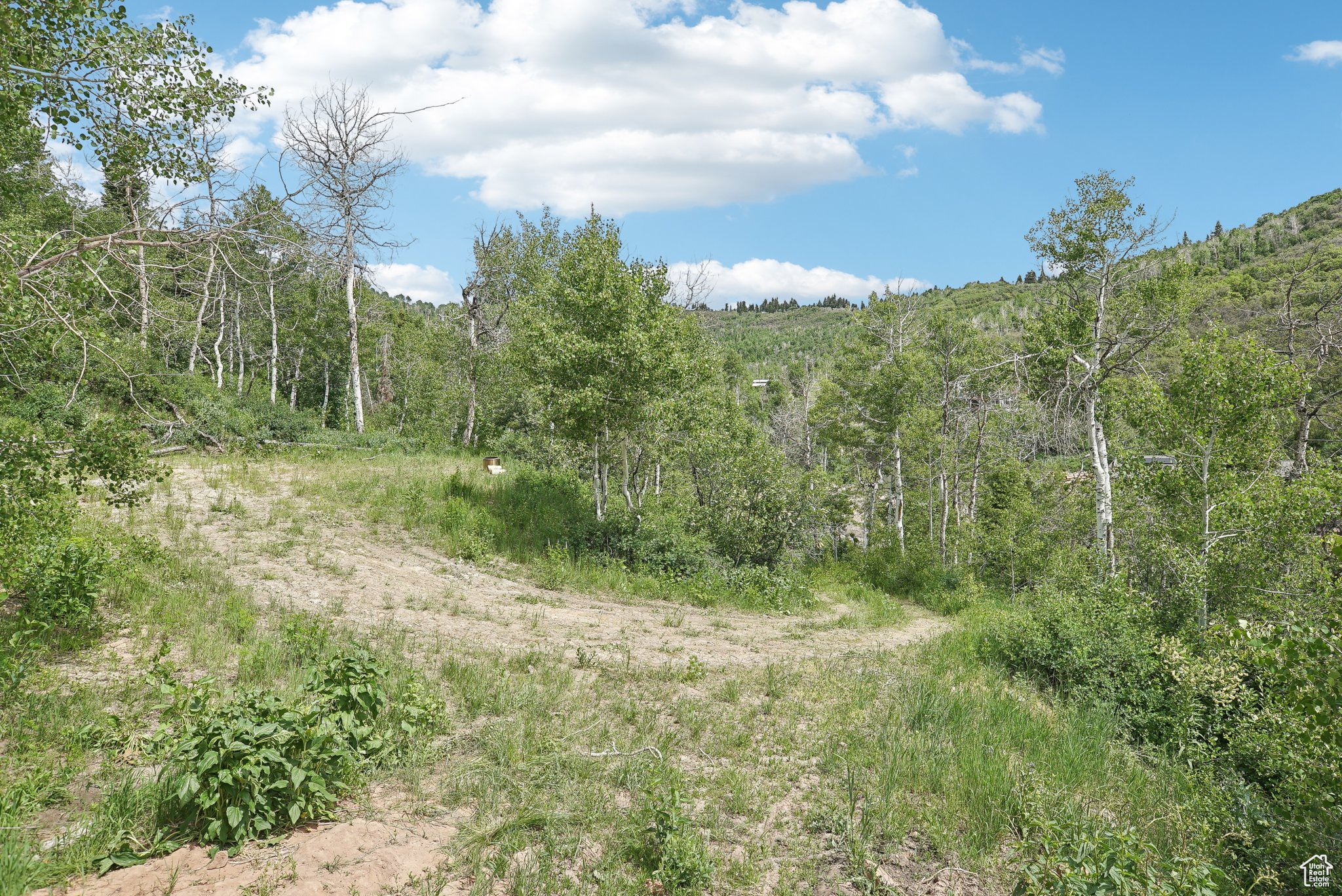 View of landscape