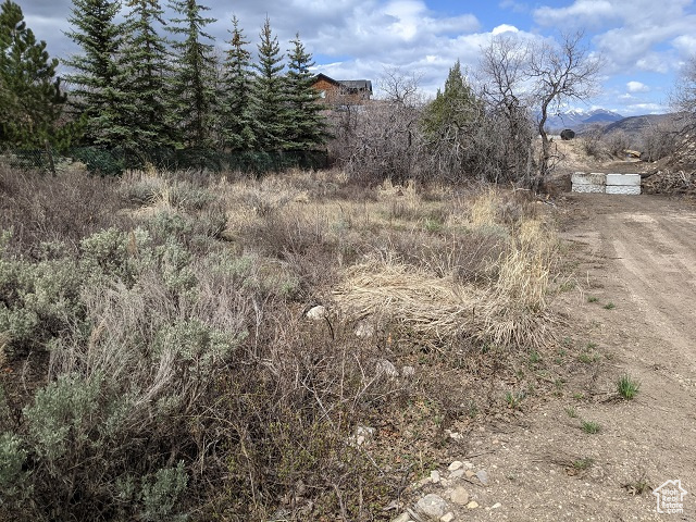 1882 E GREENLEAF #324, Heber City, Utah 84032, ,Land,For sale,GREENLEAF,1983006