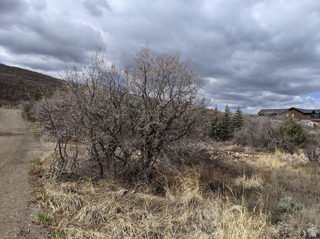 1882 E GREENLEAF #324, Heber City, Utah 84032, ,Land,For sale,GREENLEAF,1983006