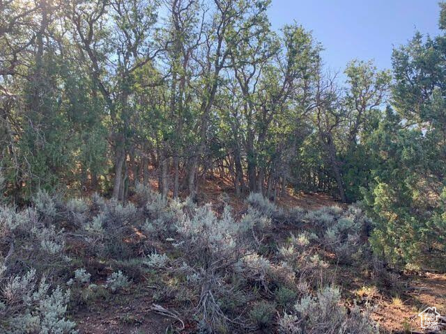 38 S 6 W #13, Alton, Utah 84710, ,Land,For sale,6,1983086