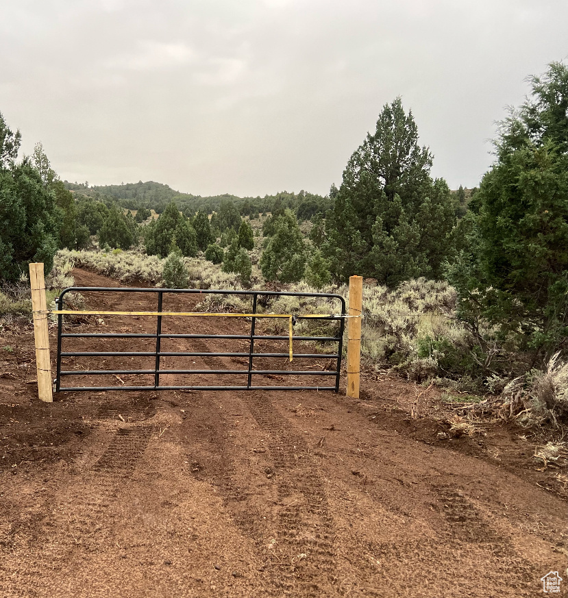 38 S 6 W #13, Alton, Utah 84710, ,Land,For sale,6,1983086