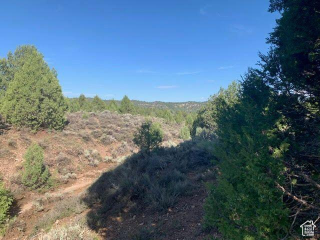 38 S 6 W #13, Alton, Utah 84710, ,Land,For sale,6,1983086