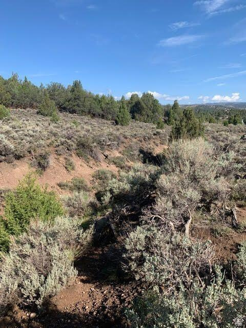 38 S 6 W #13, Alton, Utah 84710, ,Land,For sale,6,1983086