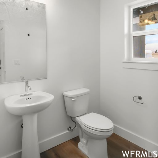 Bathroom featuring toilet and wood-type flooring