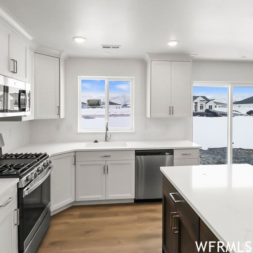 Kitchen with white cabinetry, hardwood / wood-style floors, stainless steel appliances, and a healthy amount of sunlight