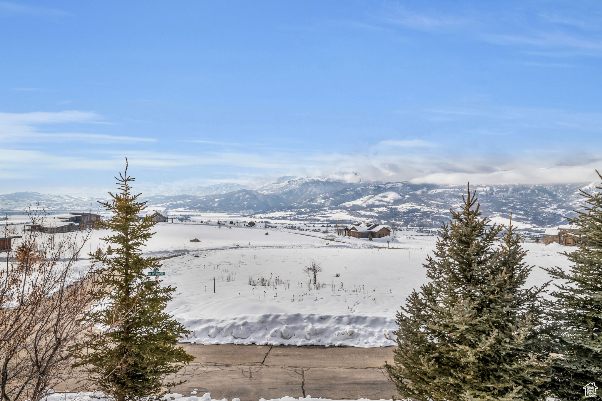 View From House Above