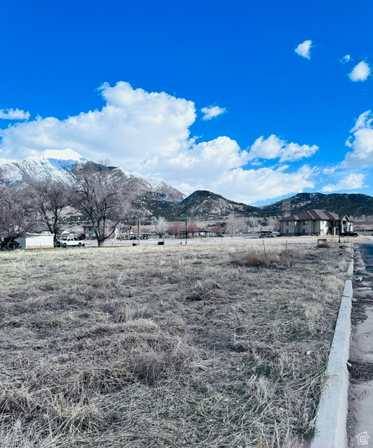 19 W 1320 N #3, Nephi, Utah 84648, ,Land,For sale,1320,1983219