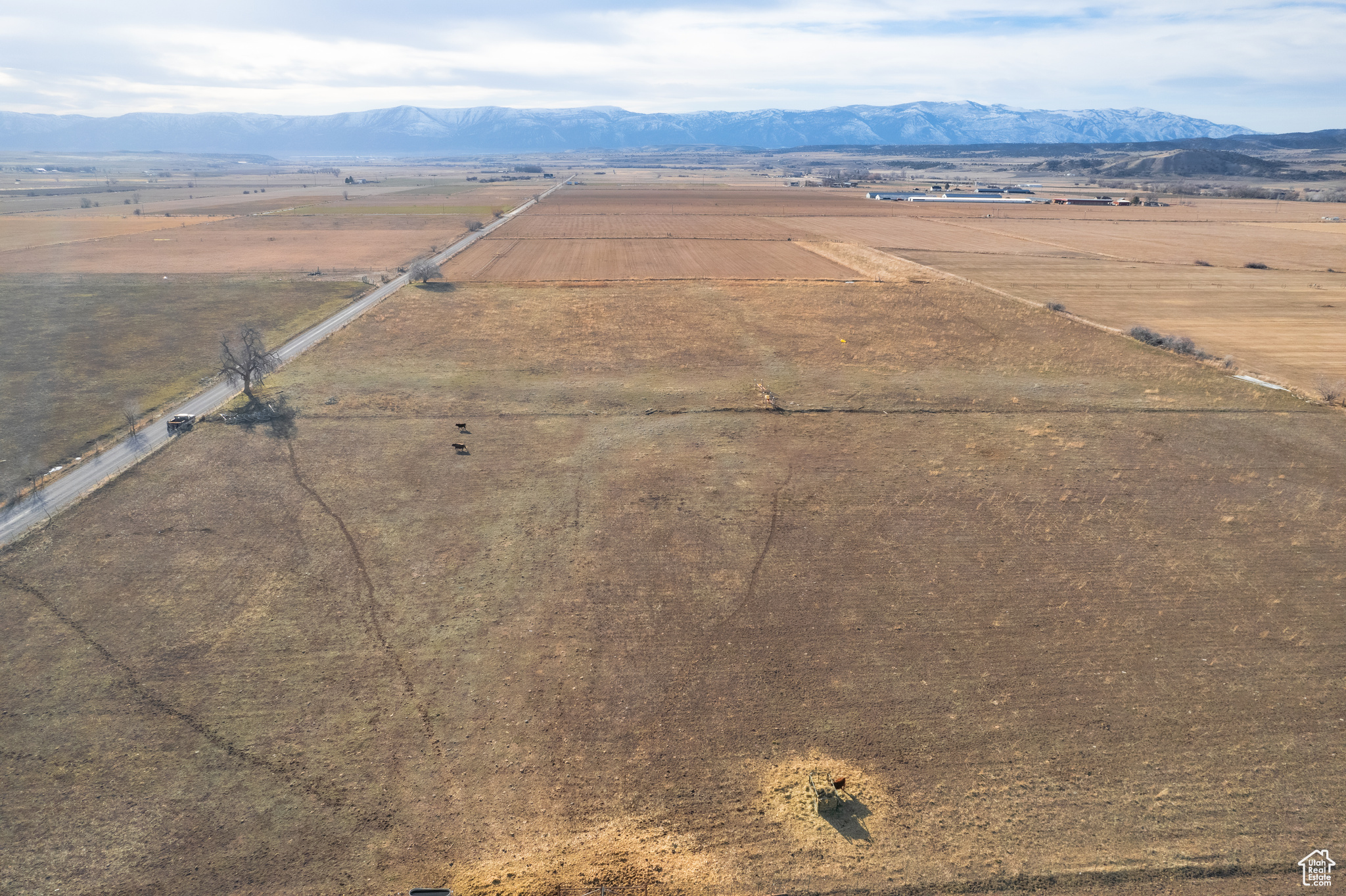 8500 E 18000 N, Mt Pleasant, Utah 84647, ,Land,For sale,18000,1983794