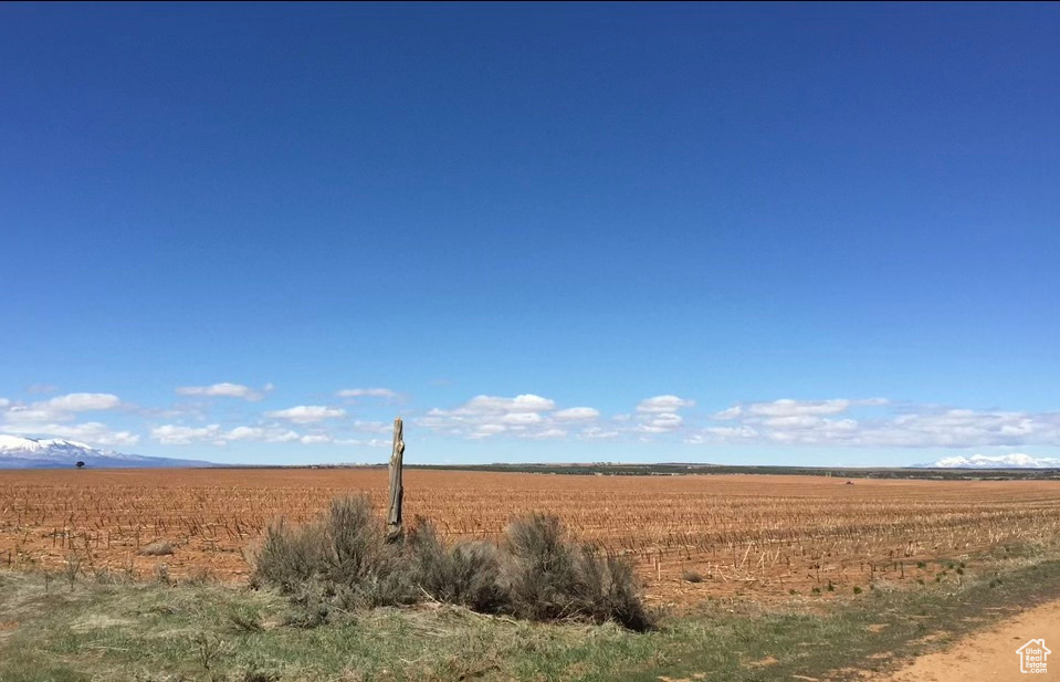 Southeast corner of property looking northwest