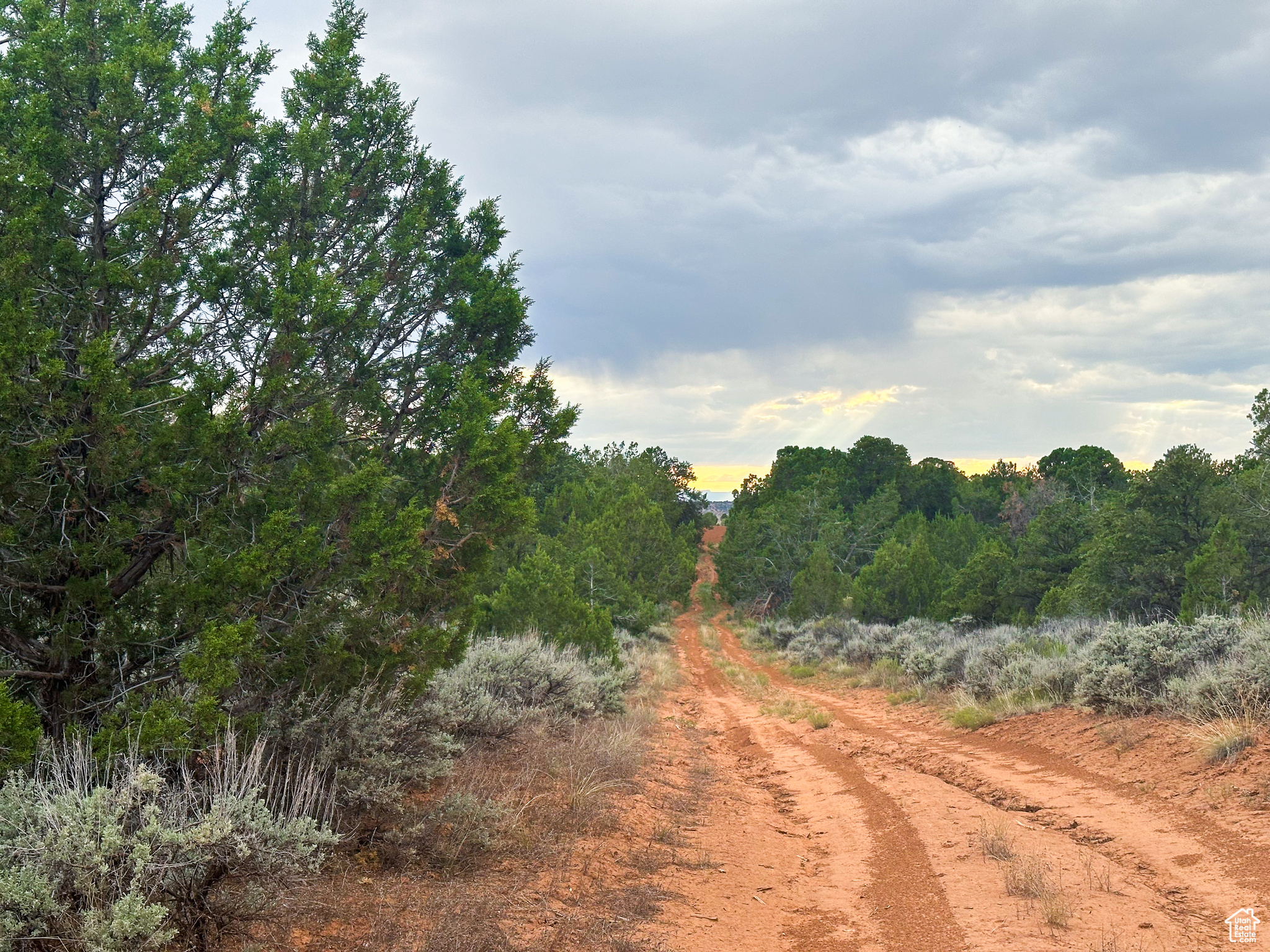 0, Monticello, Utah 84535, ,Land,For sale,1983813