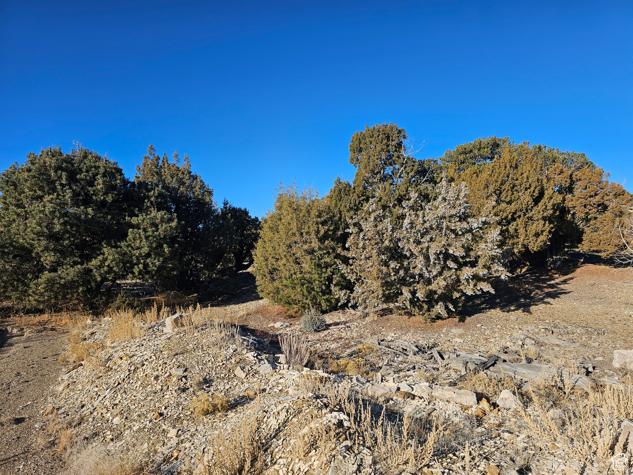 0 #9, Duchesne, Utah 84021, ,Land,For sale,1983974