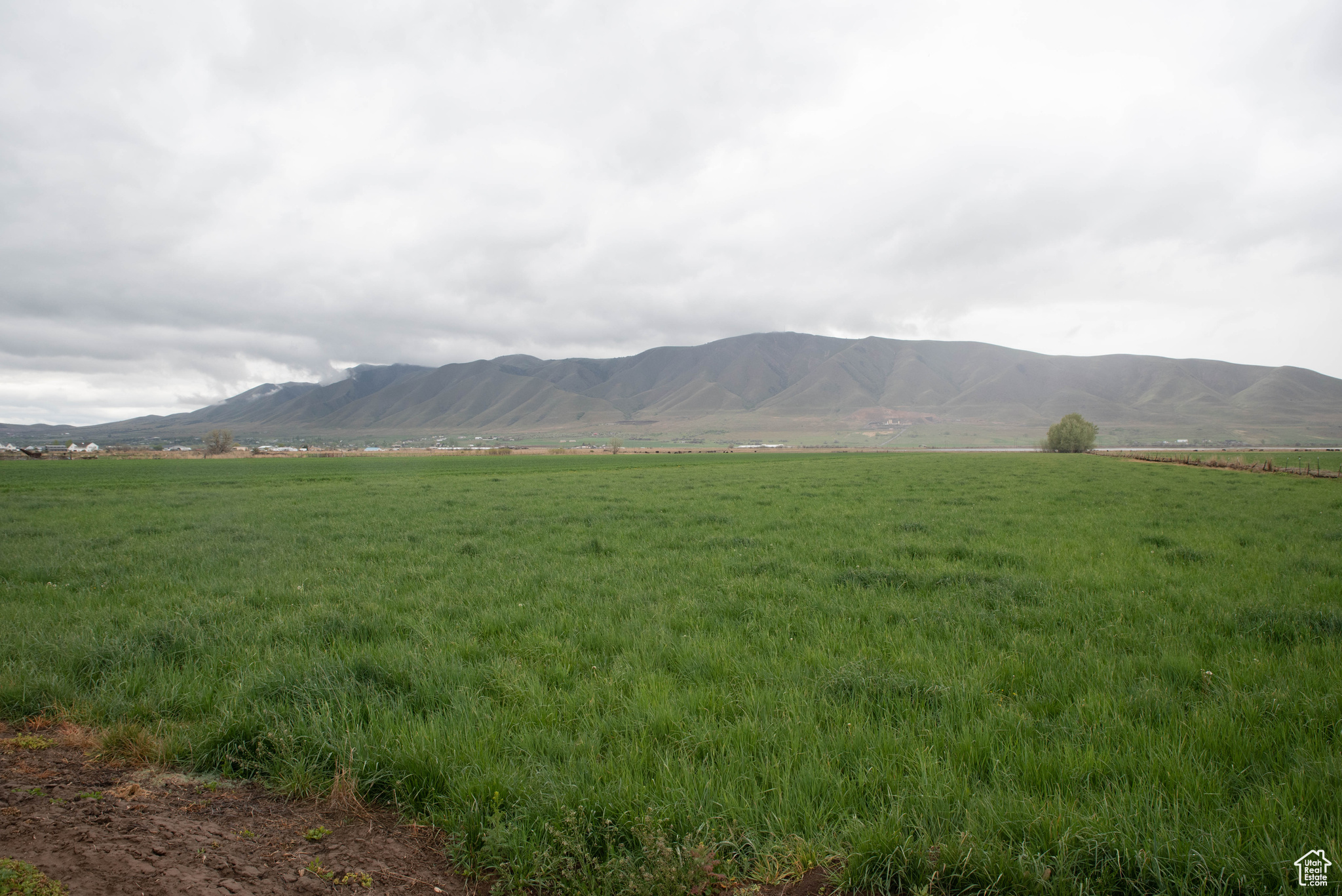 6900 S 4400 W, Benjamin, Utah 84660, ,Land,For sale,4400,1984058