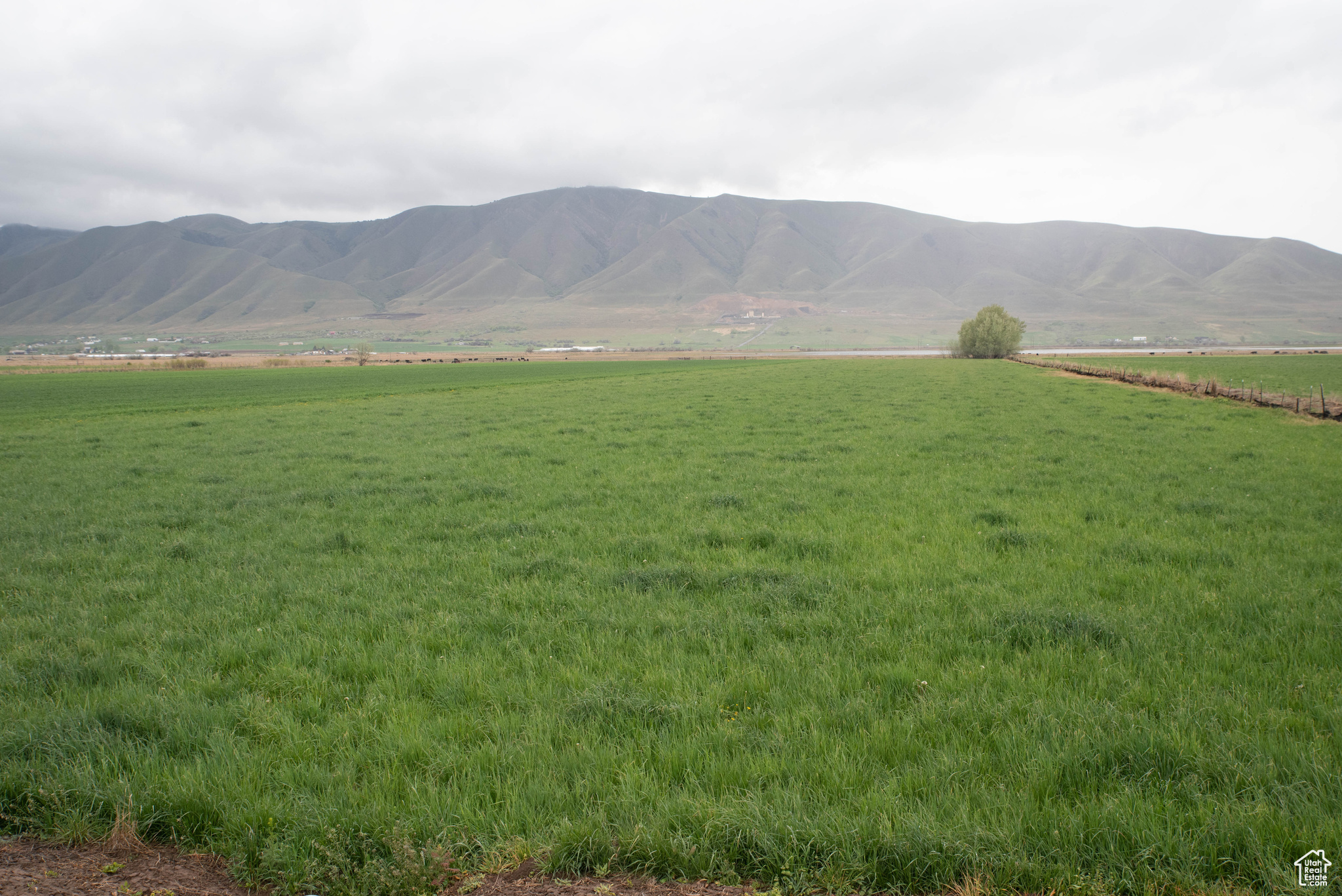 6900 S 4400 W, Benjamin, Utah 84660, ,Land,For sale,4400,1984058