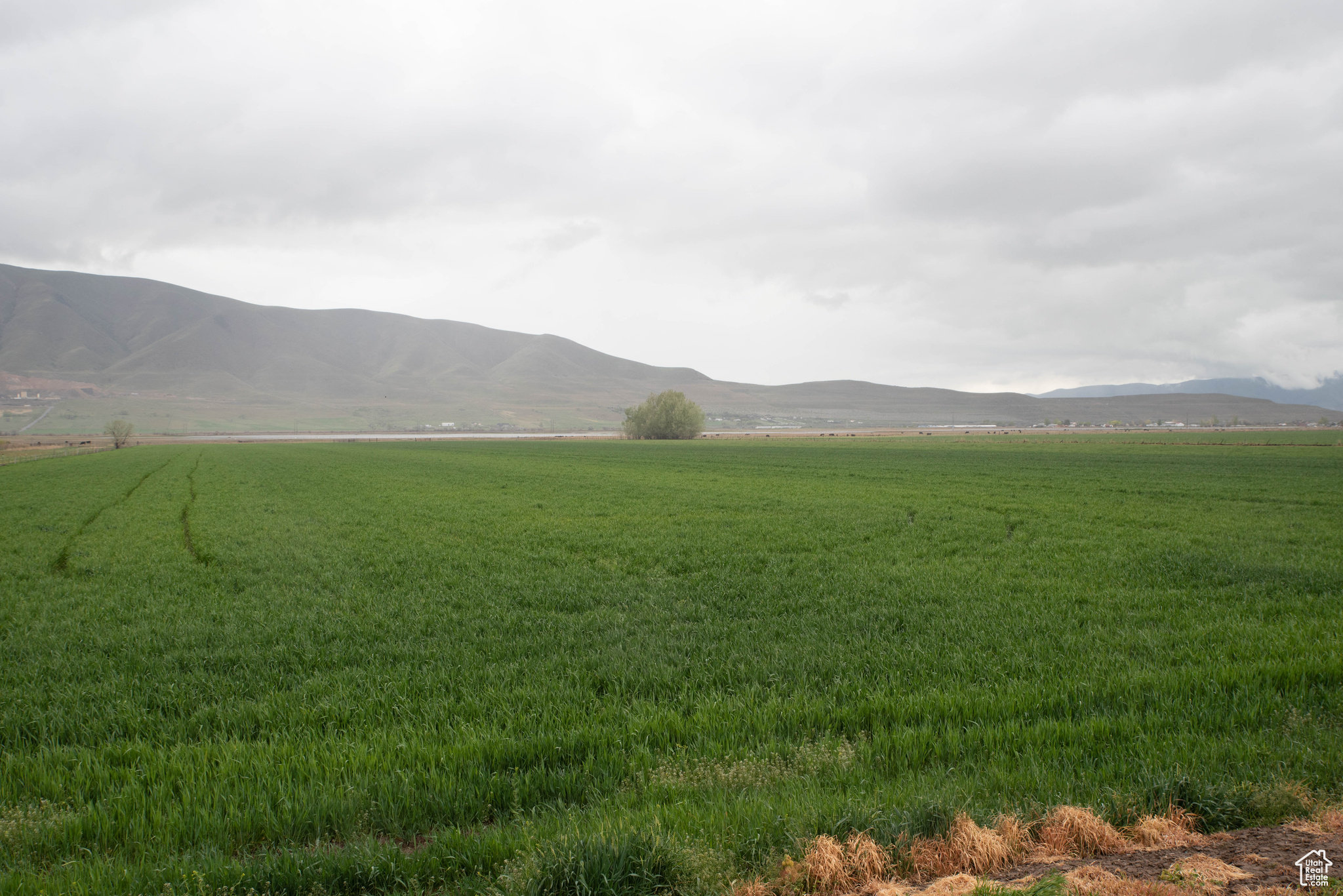 6900 S 4400 W, Benjamin, Utah 84660, ,Land,For sale,4400,1984058