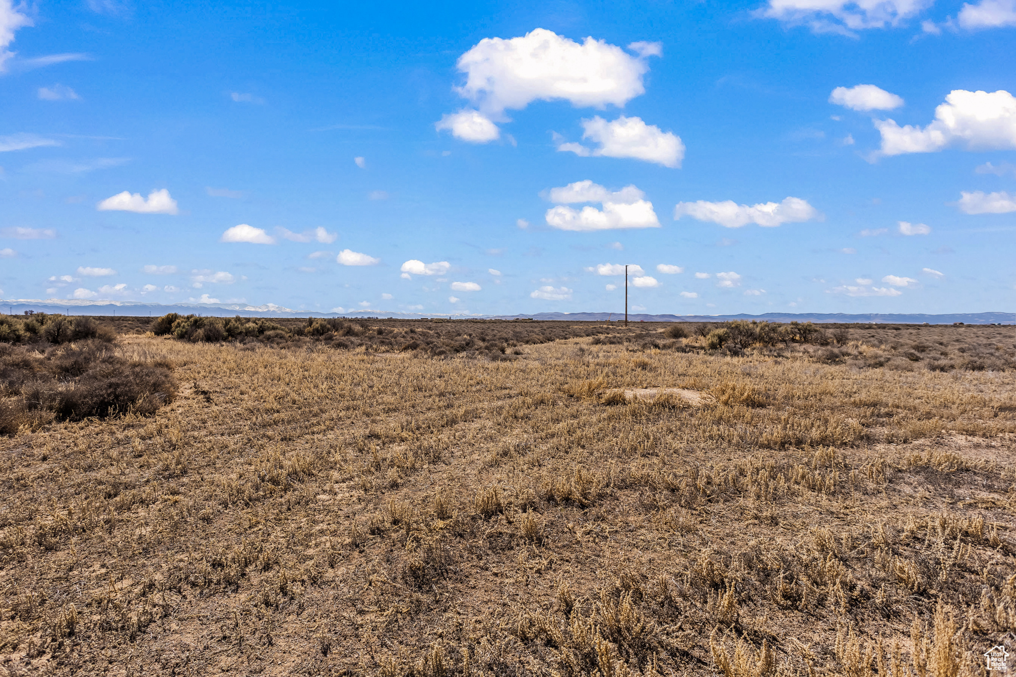 View of local wilderness with a rural view