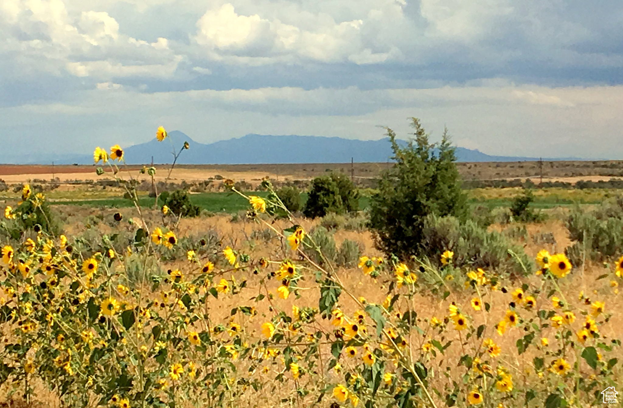 113 S AVIKAN HILLS #7, Blanding, Utah 84511, ,Land,For sale,AVIKAN HILLS,1984165