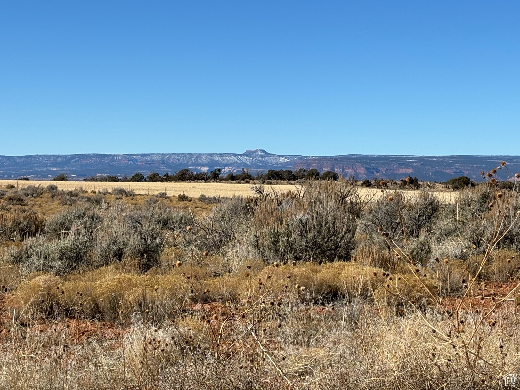 113 S AVIKAN HILLS #7, Blanding, Utah 84511, ,Land,For sale,AVIKAN HILLS,1984165