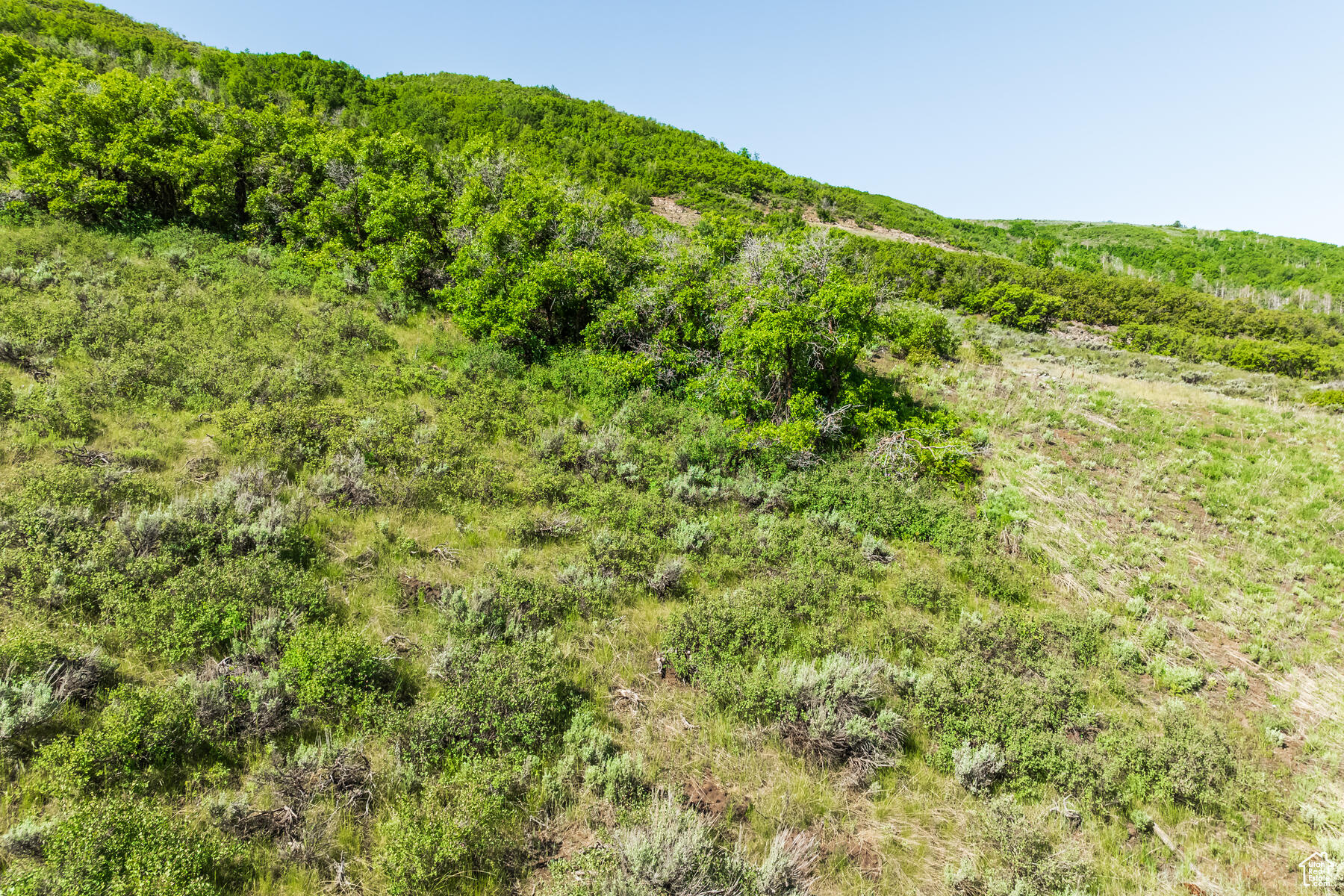 3956 E HARRIS, Heber City, Utah 84032, ,Land,For sale,HARRIS,1984247