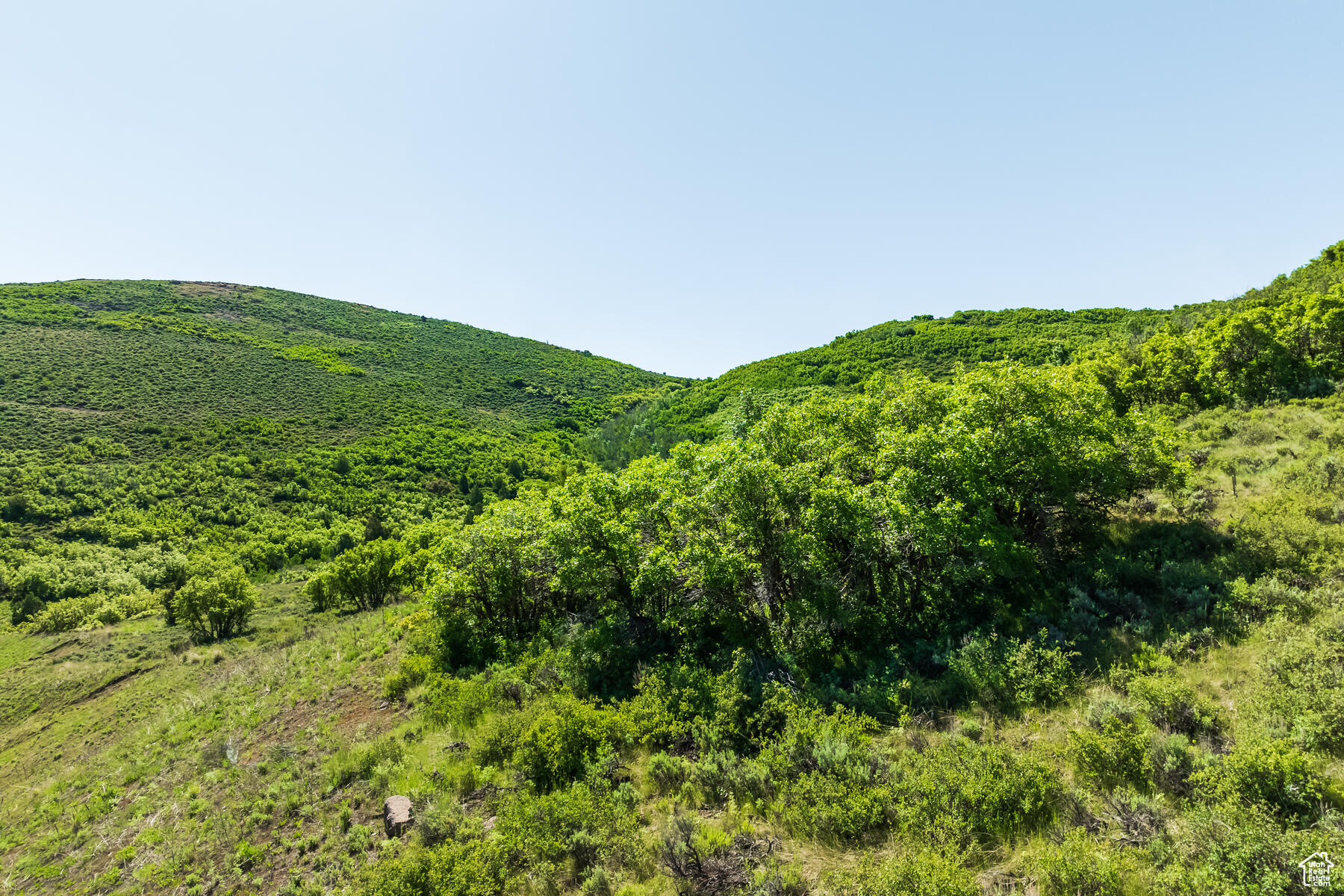 3956 E HARRIS, Heber City, Utah 84032, ,Land,For sale,HARRIS,1984247