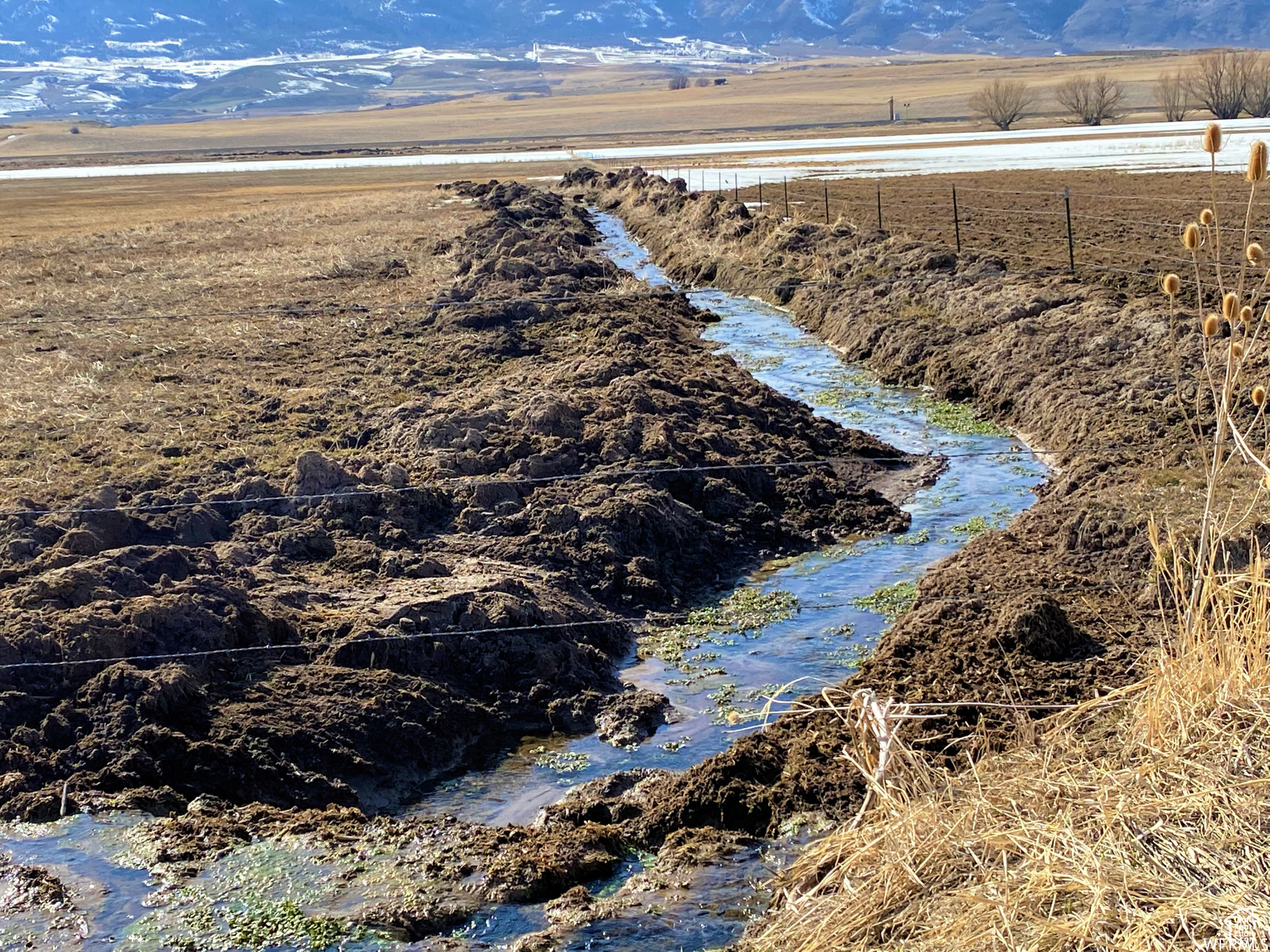 Swanlake, Idaho 83281, ,Land,For sale,1984305