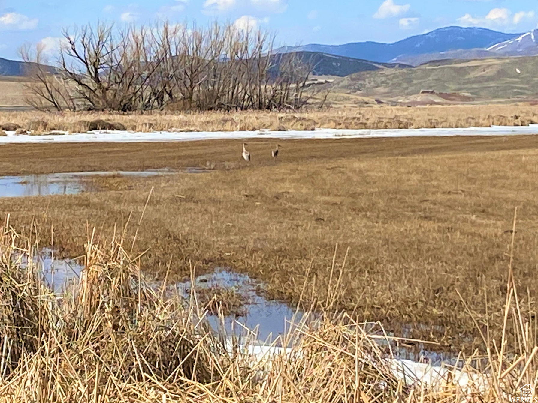 Swanlake, Idaho 83281, ,Land,For sale,1984305