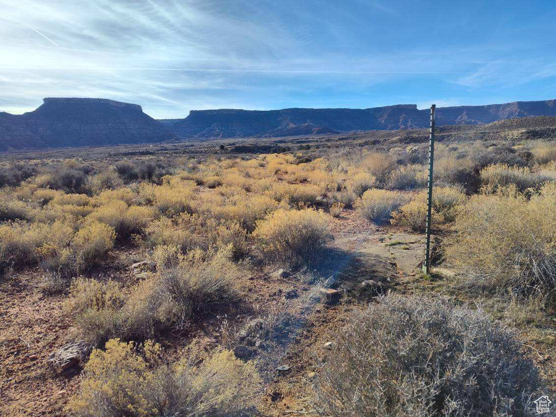 Virgin, Utah 84779, ,Land,For sale,1984394