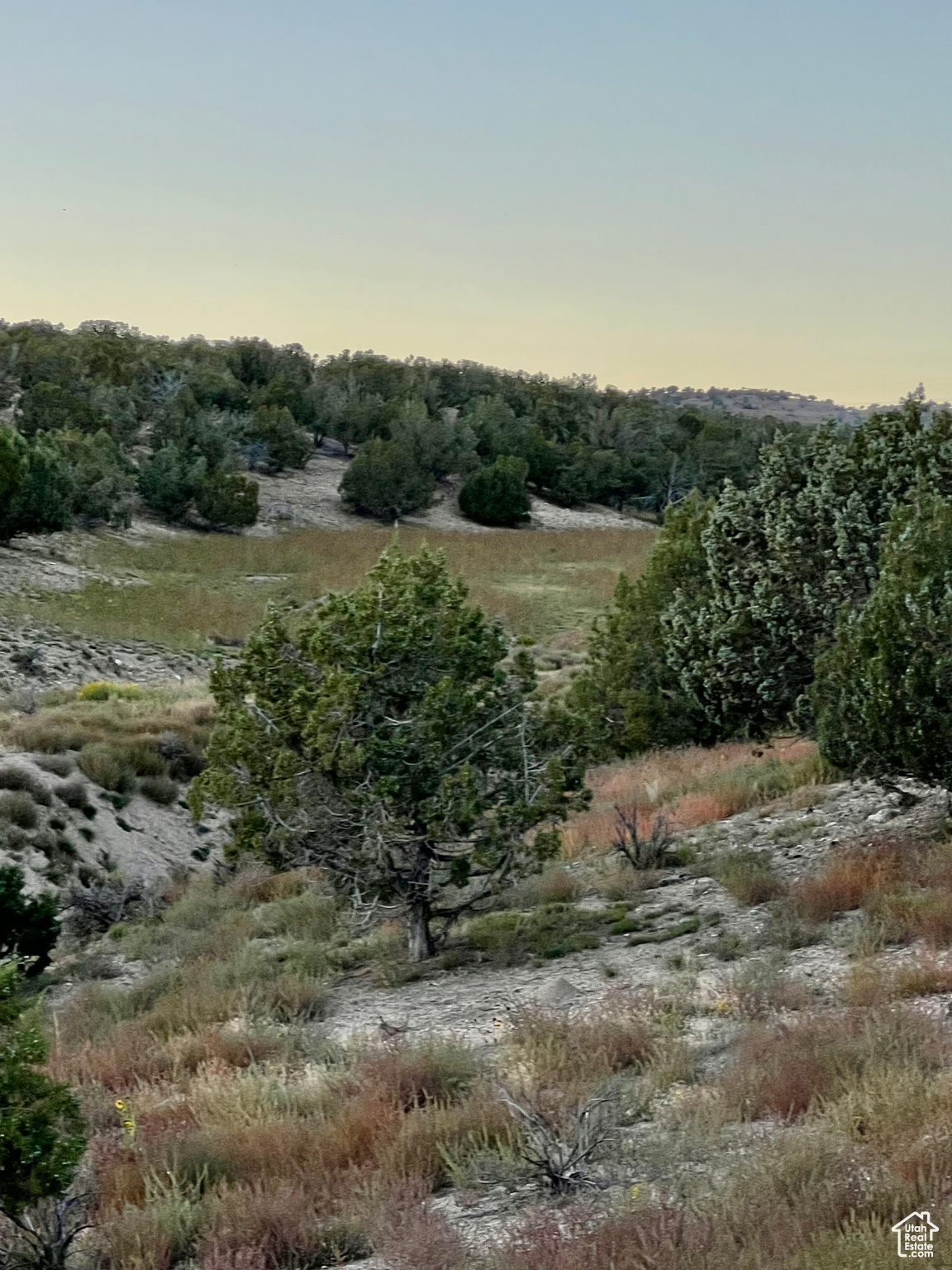 View of nature at dusk