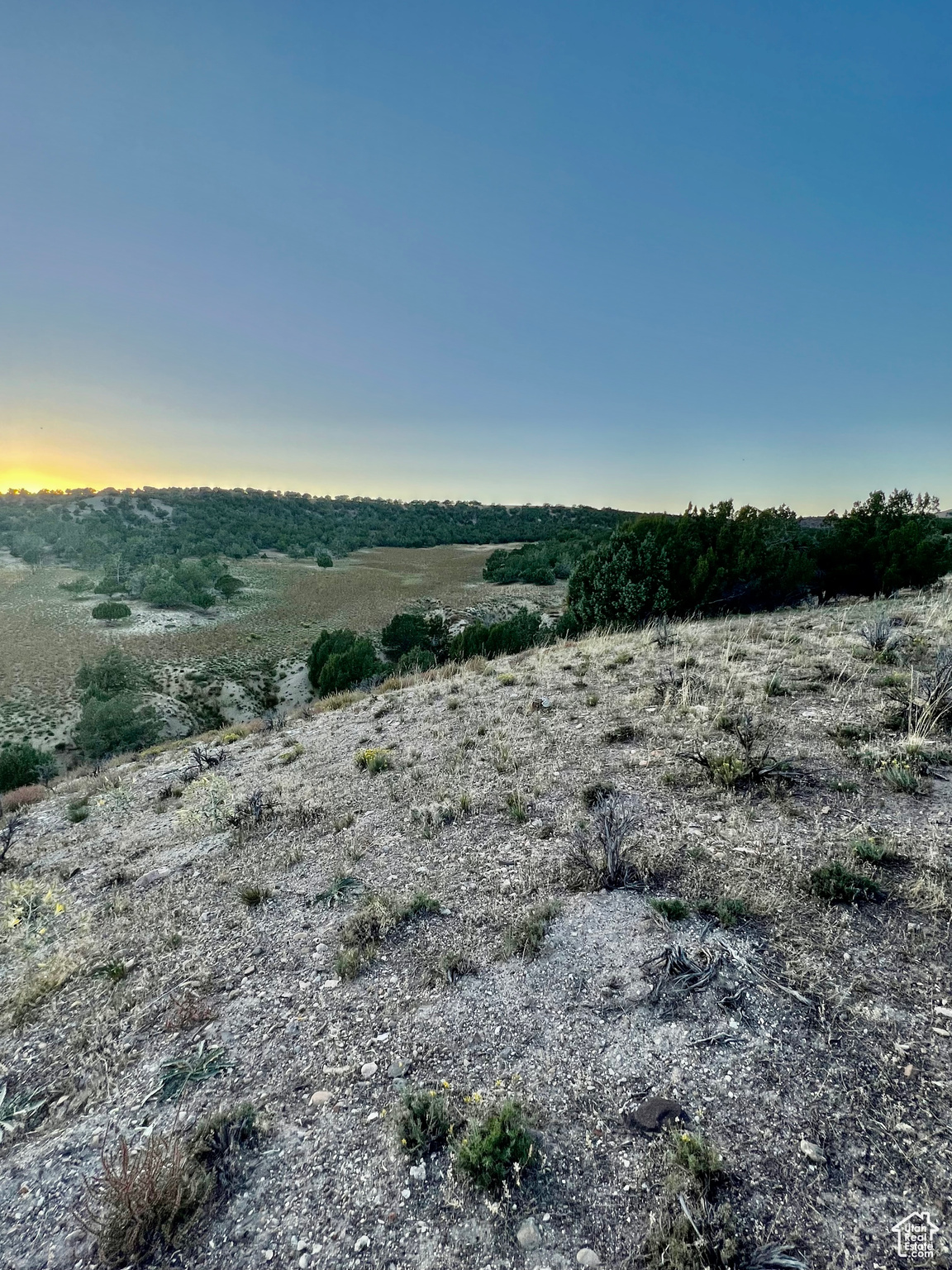 View of nature featuring a rural view