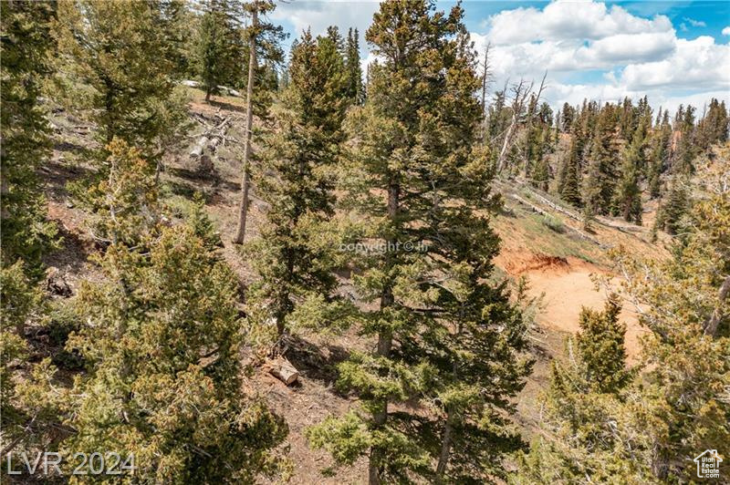 950 YANKEE LOOKOUT, Brian Head, Utah 84719, ,Land,For sale,YANKEE LOOKOUT,1984569