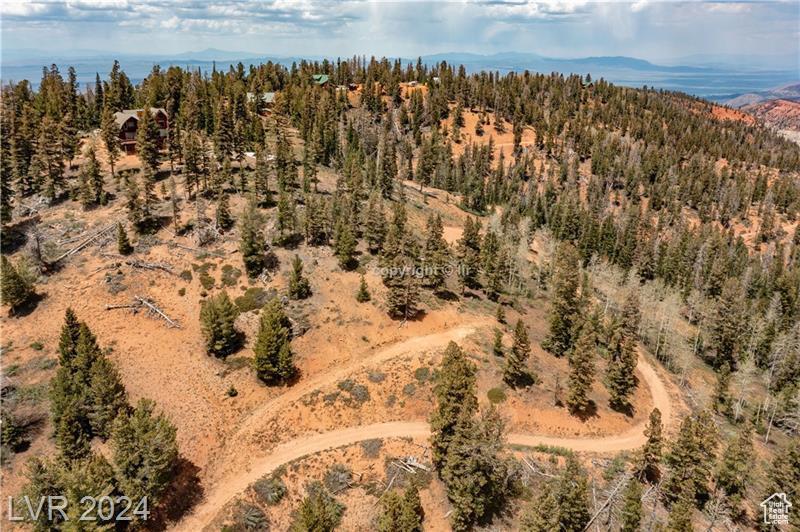 950 YANKEE LOOKOUT, Brian Head, Utah 84719, ,Land,For sale,YANKEE LOOKOUT,1984569