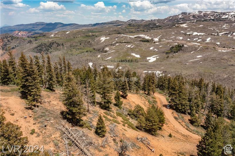 950 YANKEE LOOKOUT, Brian Head, Utah 84719, ,Land,For sale,YANKEE LOOKOUT,1984569