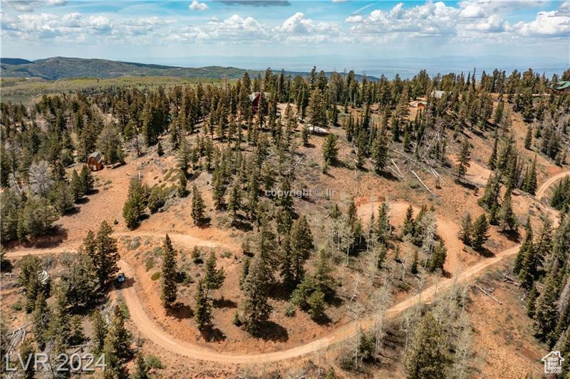 950 YANKEE LOOKOUT, Brian Head, Utah 84719, ,Land,For sale,YANKEE LOOKOUT,1984569