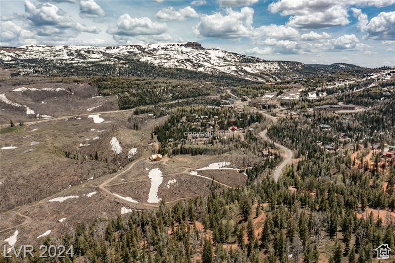 950 YANKEE LOOKOUT, Brian Head, Utah 84719, ,Land,For sale,YANKEE LOOKOUT,1984569