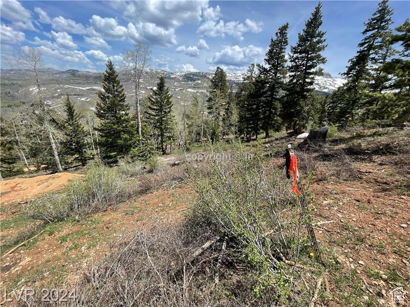 950 YANKEE LOOKOUT, Brian Head, Utah 84719, ,Land,For sale,YANKEE LOOKOUT,1984569