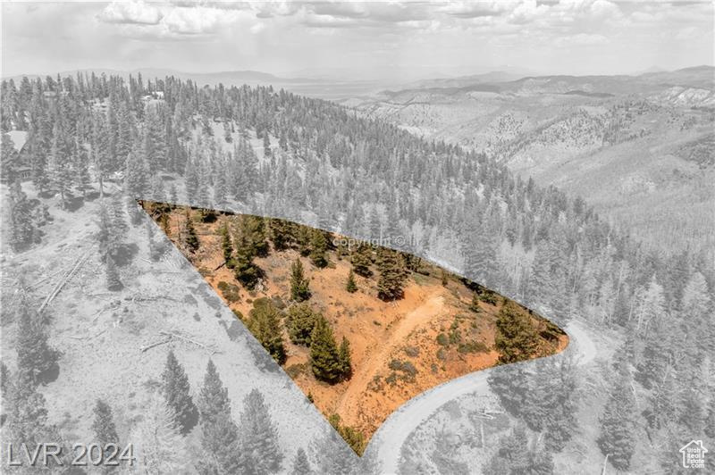 950 YANKEE LOOKOUT, Brian Head, Utah 84719, ,Land,For sale,YANKEE LOOKOUT,1984569