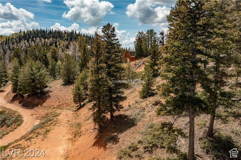 950 YANKEE LOOKOUT, Brian Head, Utah 84719, ,Land,For sale,YANKEE LOOKOUT,1984569