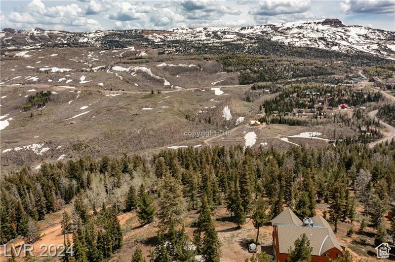 950 YANKEE LOOKOUT, Brian Head, Utah 84719, ,Land,For sale,YANKEE LOOKOUT,1984569