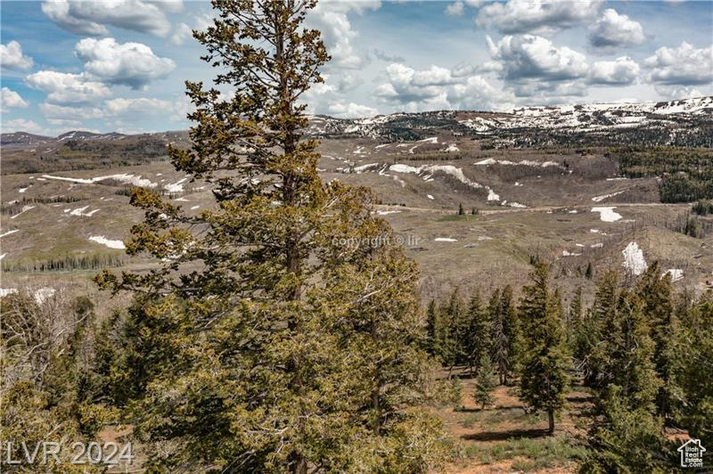 950 YANKEE LOOKOUT, Brian Head, Utah 84719, ,Land,For sale,YANKEE LOOKOUT,1984569